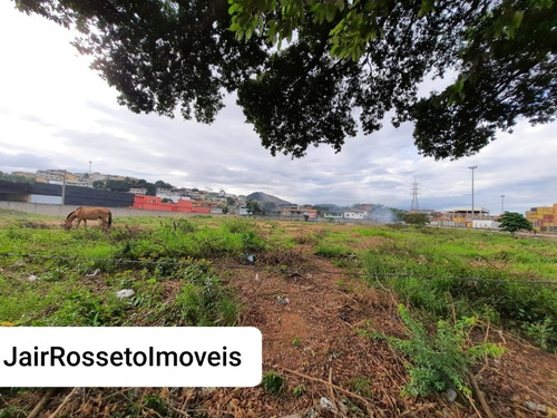 Imagem 6 de 8 de Terreno - Te00017 - 68339988