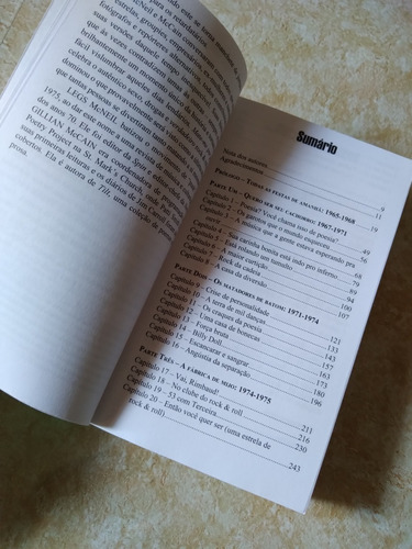 Livro - Mate-me Por Favor - A História Sem Censura Do Punk (Usado)