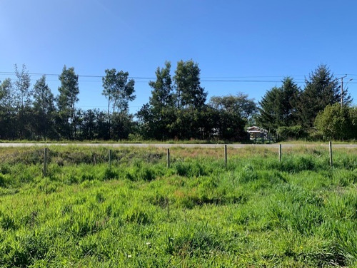 Parcela D 12.000 M2, A 4 K Del Centro, Cabo Blanco Valdivia