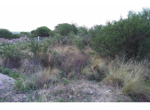 Imagen 10 de 17 de T042cb Excelente Fracción De 2.100 M2 A 400 Mts Del Río Los Sauces