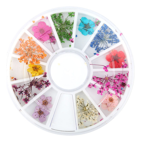 Set De 12 Tipos De Coloridas Flores Secas Naturales Real Dry