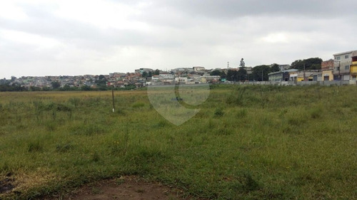 Imagem 15 de 20 de Terreno De 8.500 Metros Quadrados, Junto Ao Aeroporto De Cumbica - Guarulhos - Sp, - Reo305915