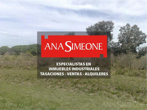 Imagen 1 de 3 de Terreno Zona Ip De 10220 M2 - Venta Total O Parcial