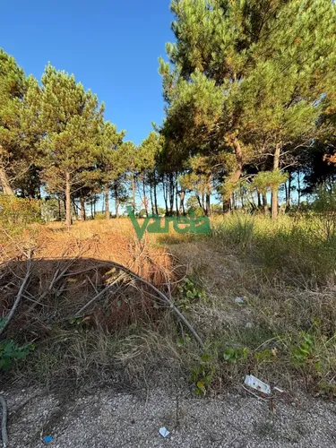 Terrenos En Venta Financiados Últimos En Montes De Solymar