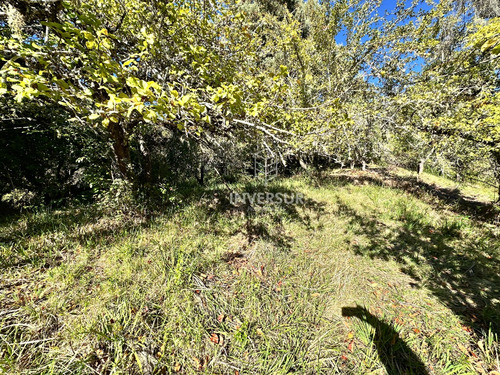 Hermoso Terreno En Arique Ruta Valdivia Los Lagos