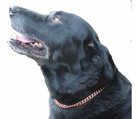 Proexl Collares Para Perros De Terapia Magnética De Cobre He