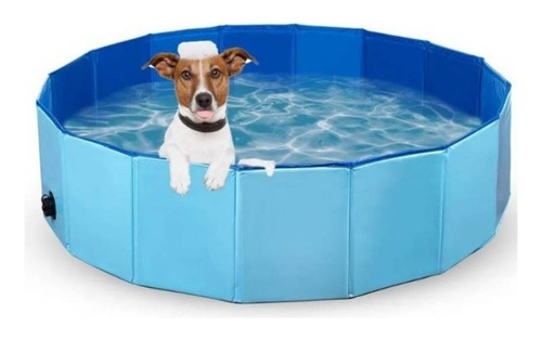 Piscina Para Perros Plegable Bañera Mascotas Verano 80x20cm 