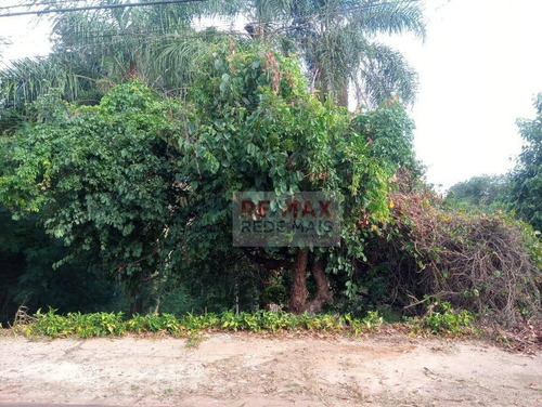 Imagem 11 de 11 de Terreno No Recanto Azul - Próx. Av. Vital Brasil - Te0158