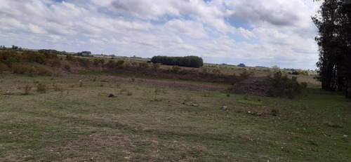 Chacra San Jacinto Ruta 11 Casa Tajamar Alambrado Monte 11 Ha