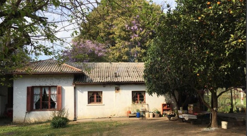 17.1 Hectáreas, Subdividido En 4 Lotes, Itata