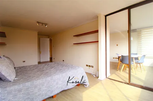 Departamento En Arriendo De 1 Dorm. En Providencia