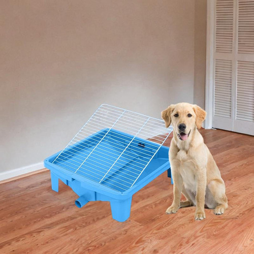 Inodoro Para Mascotas, Arenero Para Mascotas, Orinal, Azul