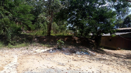 Imagem 27 de 30 de Terreno Botujuru Mogi Das Cruzes Sp Brasil - 87