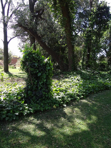 Venta Casa En 4 Lotes 9500m2 Bosques Fcio. Varela