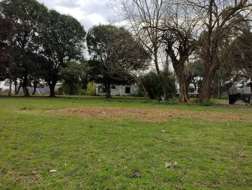 Imagen 13 de 19 de Chacra 4 Hectareas - Los Cardales - Ruta 39