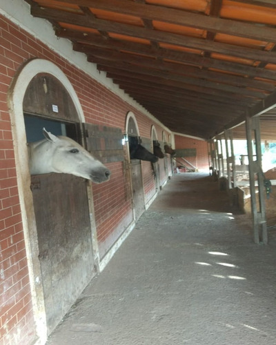 Excelente Sitio Com Haras De 36.000 M² À Venda Em Itupeva, Sp - St00004 - 34651579