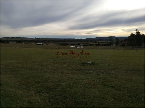 Imagen 3 de 20 de Venta Chacra 4 Dormitorios En Pueblo Eden