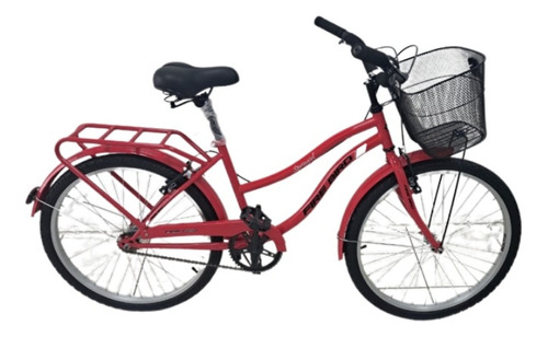 Bicicleta Paseo R24 Firebird 1v Frenos V-brakes Envio Gratis