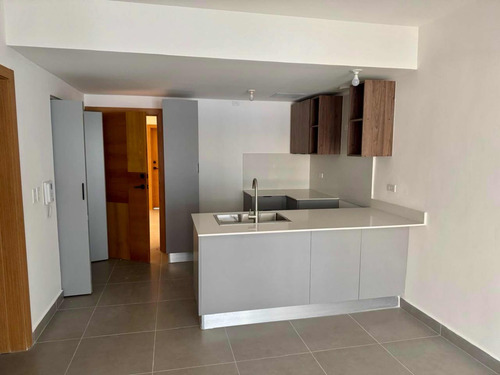 Apartamento En Alquiler 1 Habitacion En Gazcue 1 Parqueo