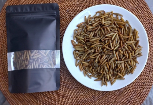 Larva De Mosca Soldado Negro Deshidratada 35g