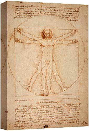 Wall26 Hombre De Vitruvio De Leonardo Da Vinci Giclee Impres