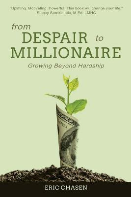 Libro From Despair To Millionaire : Growing Beyond Hardsh...