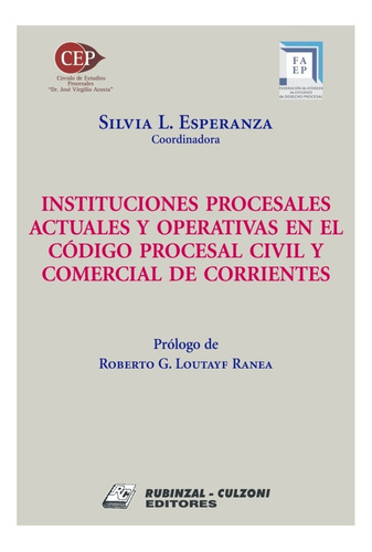 Instituciones Procesales Actuales Y Operativas En El Cpcyc. 