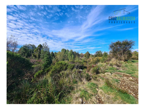 Imagen 5 de 10 de Agrícola En Venta En Puerto Montt