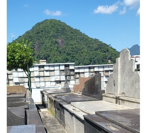 Imagem 6 de 7 de Jazigo Perpétuo No Cemitério São João Batista Rio De Janeiro