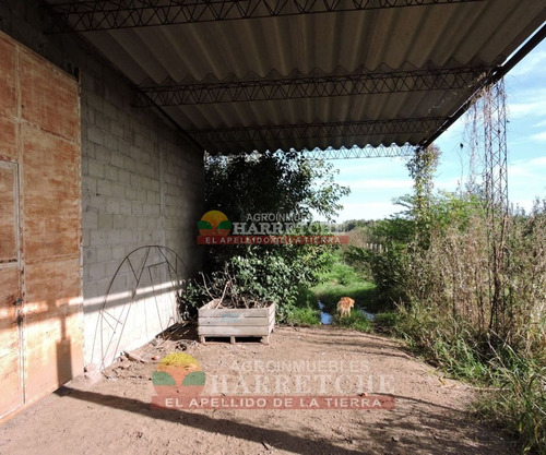 Imagen 30 de 30 de Chacra 3 Has En Melilla, Construcciones, Casi Ruta 5
