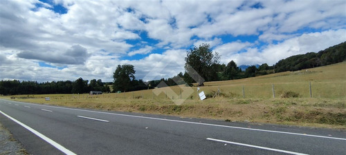 Sitio - 5.000 M2 Cada Uno - Cascadas - Puerto Octay