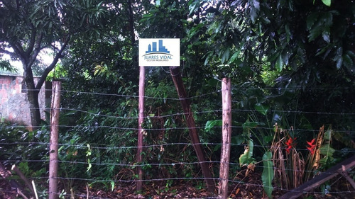 Imagem 6 de 9 de Terreno Plano Com Escritura Na Estrada De Mazomba Em Itaguaí/rj - 313 - 34596787
