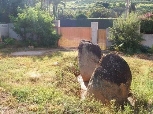 Chácara Venda Parque Rural Fazenda Santa Cândida Campinas Sp - Ch0045