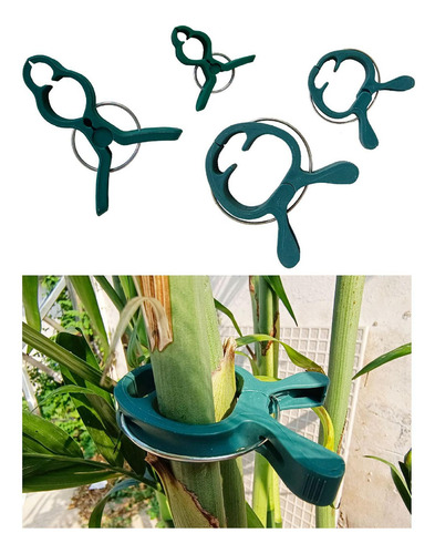 50 Piezas Clips Para Plantas Plantas Trepadoras Golondrina L