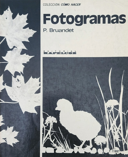 Libro Fotogramas Coleccion Como Hacer.  Ed Kapelusz