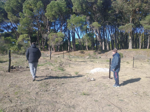 Imagen 4 de 7 de Terreno Lote En Miramar Pegado Al Bosque Vivero Dunícola