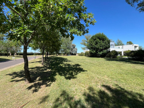 Venta Lote 941mts. - La Reserva Cardales - Campana