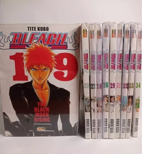 BLEACH Manga Volume 19