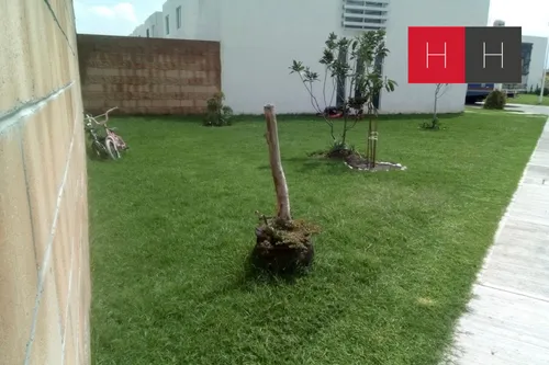 Casa En Venta En San Francisco Ocotlán