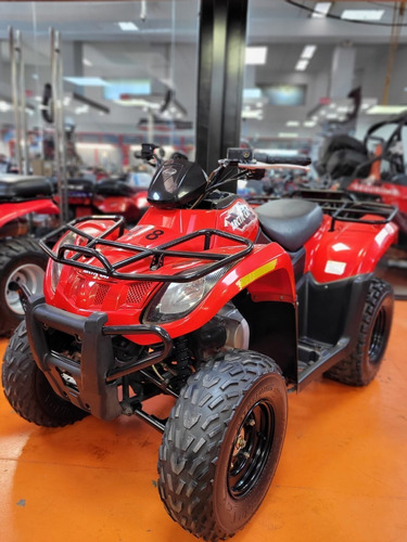 Imagen 7 de 7 de Artic Cat 300 Parrilla 2015 Automatico Tamburrino Moto