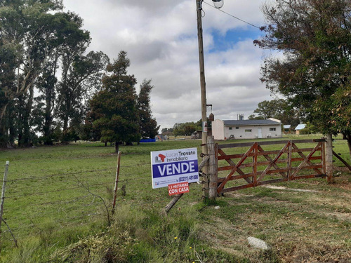 Imagen 1 de 19 de Casa Quinta En Veronica, 1.5 Hectareas