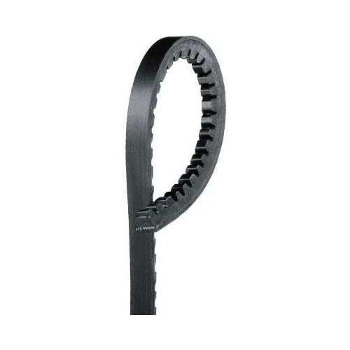 Banda Dentada  Dg D100 Pu Rwd V8 5.2 75-77 93.014cm Ctk