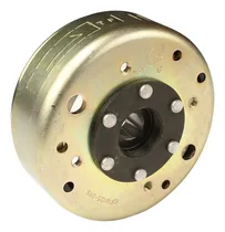 Comprar Rotor Magneto Estator Para Gs 150 10 Al 13 Italika Original