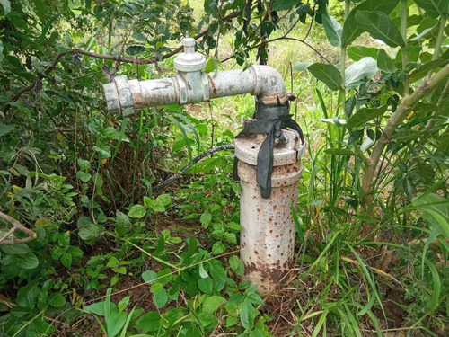 Imagen 26 de 30 de Granja Porcina O Unidad De Producción La Victoria, Aragua.