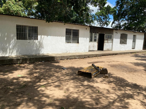 Midaly Vende Hermosa Finca, 240has, Entrada Al Tejero, A 250mts De La Virgen, Maturin, Monagas