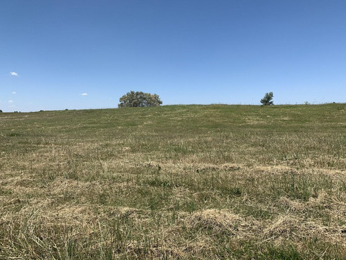 Imagen 3 de 4 de Terreno Lote En Venta Ubicado En Carmelo, Colonia