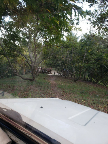 Finca De Aguacate En Venta En Paraíso Barahona Con Vista Al Mar