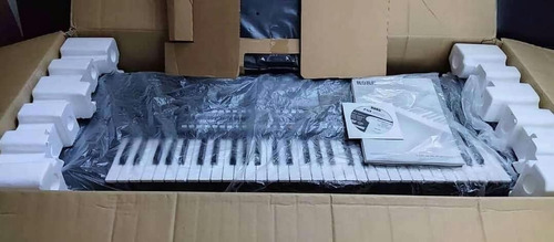 Korg Pa600 Keyboard With Beats And Samplers Included 