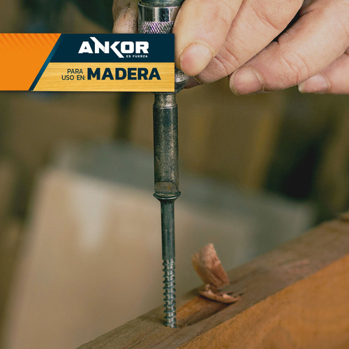 Set De Tornillos Pija Para Madera