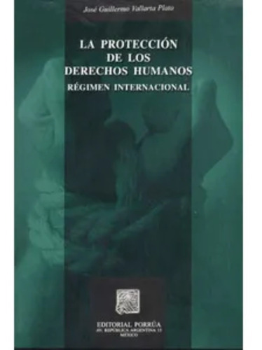 Proteccion De Los Derechos Humanos, La, De José Guillermo Vallarta Plata. Editorial Porrúa México, Tapa Blanda En Español, 2006